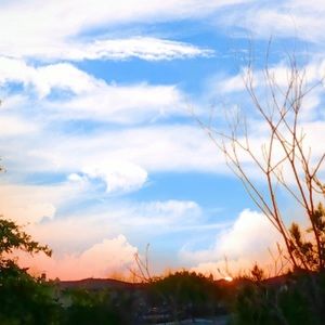 Meet your Posher, Karla